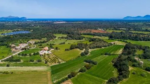 Finca building plot near Santa Margalida with a deep well and mains electricity