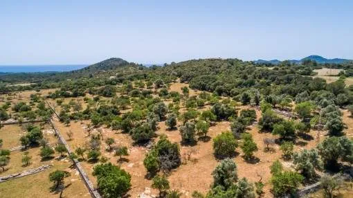 Wonderful building plot with sea views in an idyllic location near Arta Wonderful building plot with sea views in an idyllic location near Arta