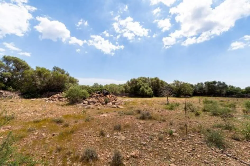 Rustic finca to renovate in Vallgonera