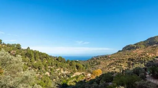 Large rustic finca in the mountains, only a few minutes from Deia