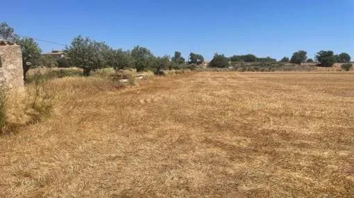 Beautiful plot in a quiet location in Porreres
