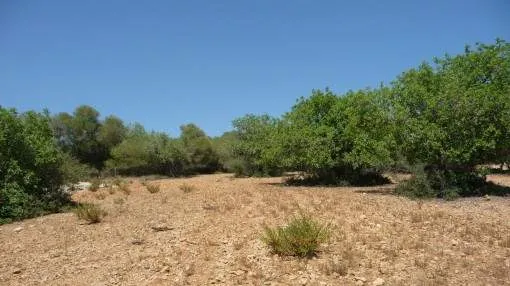 Fantastic plot with distant view and approved basic project near Manacor