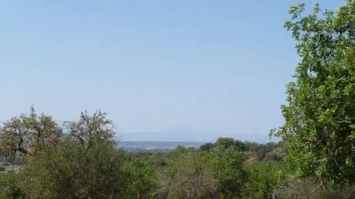Beautiful plot with basic project in beautiful location near Manacor Beautiful plot with basic project in beautiful location near Manacor