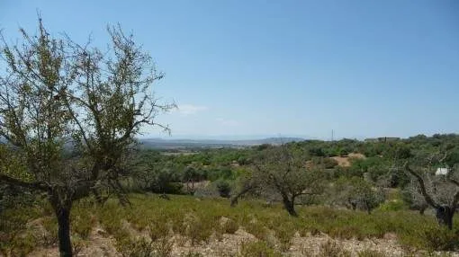 Building plot with project in a beautiful location near Manacor