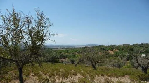 Building plot with project in a beautiful location near Manacor Building plot with project in a beautiful location near Manacor