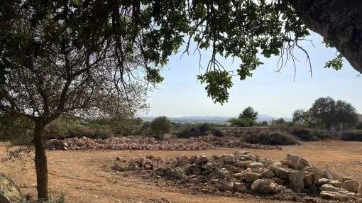 Single-level, newly-built finca with pool and Mediterranean garden between Felanitx and Manacor