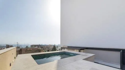 Terraced house with private roof terrace, jacuzzi and sea views in El Terreno Terraced house with private roof terrace, jacuzzi and sea views in El Terreno