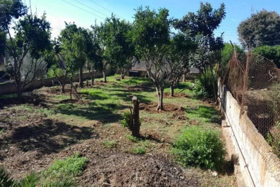 Building plot on the outskirts of Manacor although very close to the centre of the town