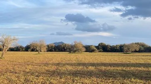 Beautiful finca building plot with views of San Salvador in a quiet location near Felanitx Beautiful finca building plot with views of San Salvador in a quiet location near Felanitx