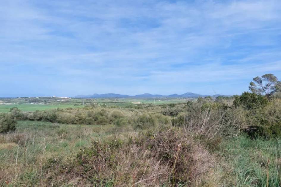 Rustic finca plot with large tree population and panoramic views near Petra