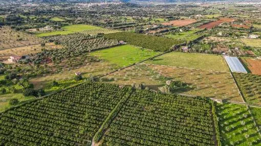 Wonderful development project in Buger: 6 building plots in the Mallorcan countryside for detached country houses Wonderful development project in Buger: 6 building plots in the Mallorcan countryside for detached country houses