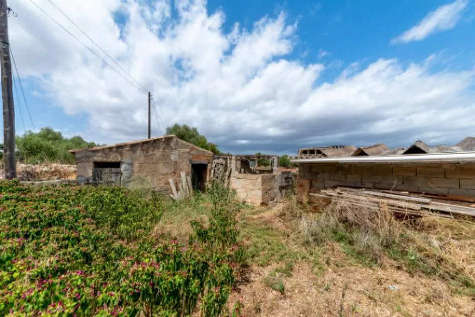 Finca requiring renovation with an old windmill between Colonia St. Jordi and Campos