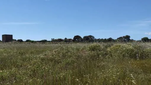 Beautiful building plot between Colonia St. Jordi and Ses Salines with a project for the construction of a finca with 3 bedrooms and pool