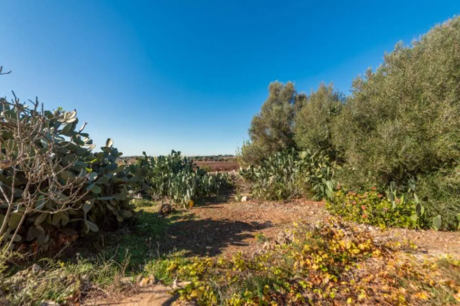 Wonderful finca in Santa Margalida constructed to a very high quality with perfect orientation