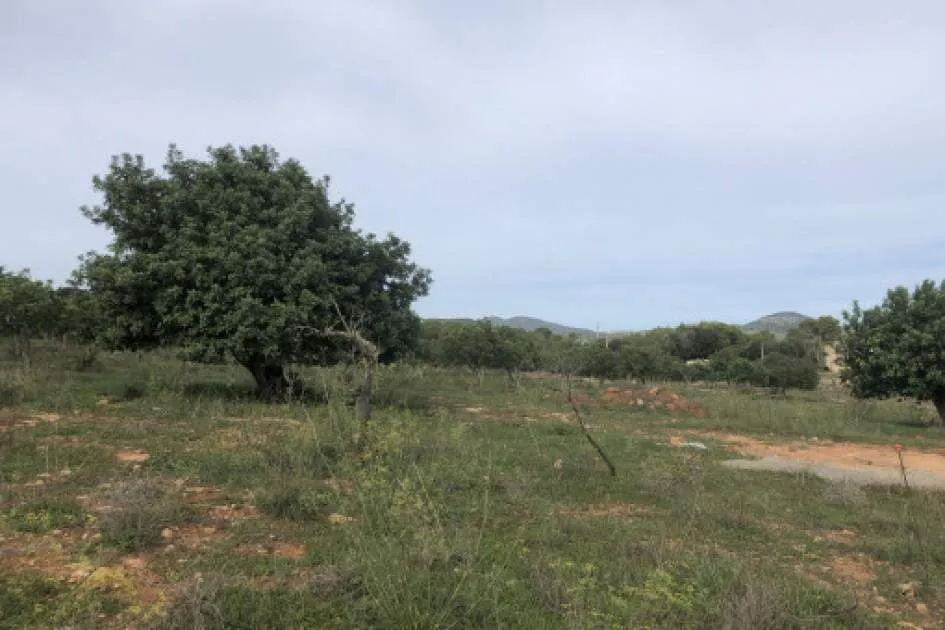Beautiful building plot with approved project between Son Carrió and Sa Coma