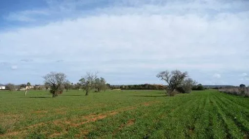 Wonderful building plot near Campos with construction project