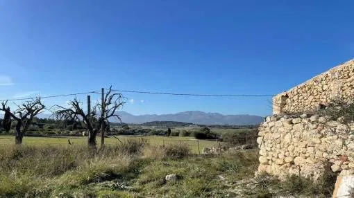 Fantastic plot with panoramic views and building project in Santa Margalida