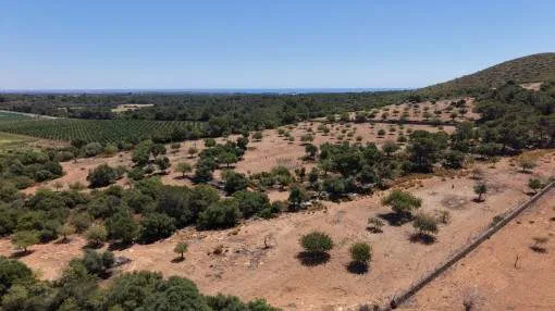 Great building plot with newly granted building permit near Cala Mandia