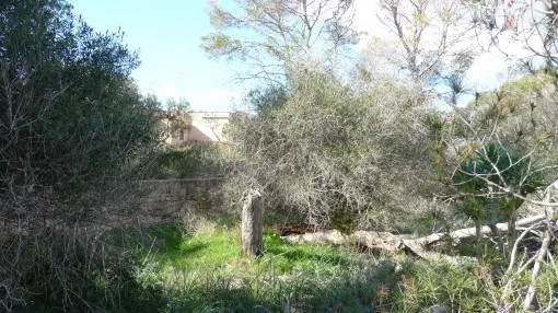 Spacious building plot in Cala Figuera