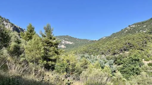 Exceptional land with views and license in force Exceptional land with views and license in force