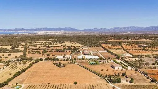 Unique country estate of the highest standard with a premium equestrian facility and unlimited possibilities