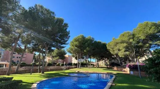 Newly renovated penthouse apartment with communal pool in Maioris