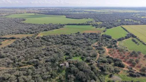 Impressive Building Plot of 280,000 sqm in Prime Location near Santanyí