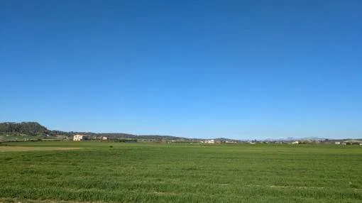 Beautiful building plot near Sineu
