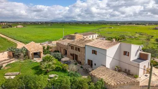 Authentic Finca with Agrotourism License and Approved Renovation Project