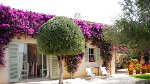 Attractive country house with beautifully landscaped garden and pool near Cas Concos Attractive country house with beautifully landscaped garden and pool near Cas Concos