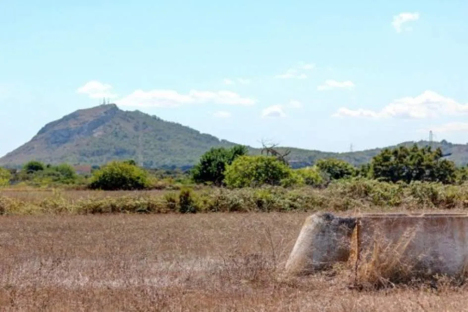 Building plot for sale in Pollensa to build a finca with pool