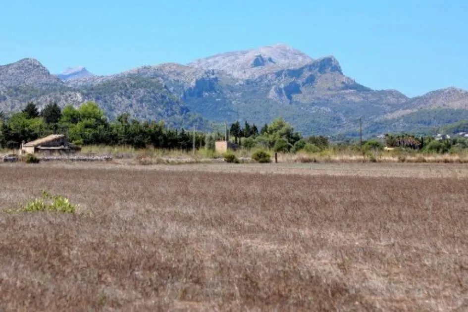 Building plot for sale in Pollensa to build a finca with pool