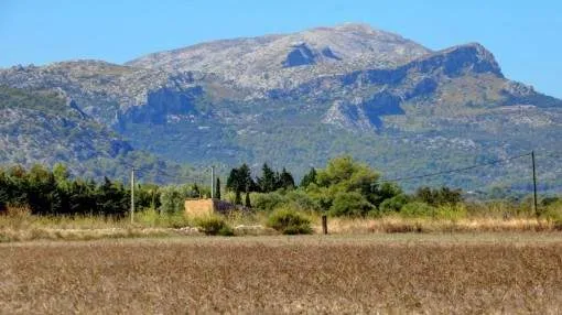 Building plot for sale in Pollensa to build a finca with pool