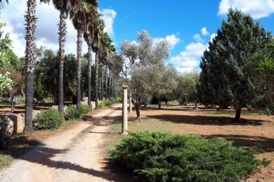 Rustic natural-stone finca with pool in Son Negre