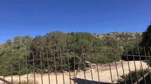 Finca building plot with absolute privacy and tranquillity and lovely southerly views near Alcudia Finca building plot with absolute privacy and tranquillity and lovely southerly views near Alcudia