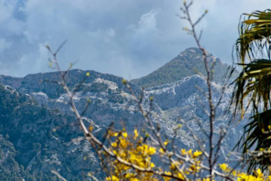 Traditional Majorcan finca in perfect condition on the outskirts of Sóller