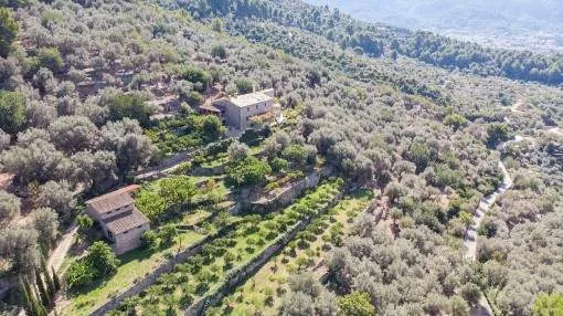 Exceptional finca property with its own vineyard and beautiful views on the outskirts of Sóller