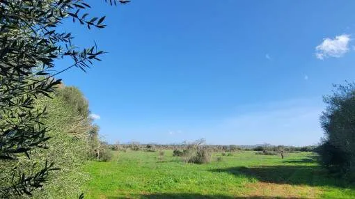 Plot with approved finca project in a quiet location near Campos