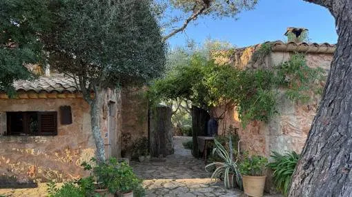Charming finca - Algaida