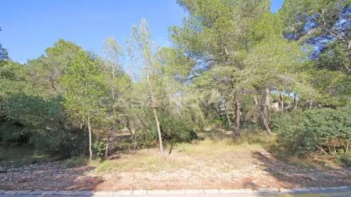 Cala Vinyes - Top offer: 3 adjacent building plots with building licence Cala Vinyes - Top offer: 3 adjacent building plots with building licence
