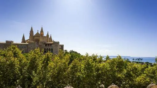 Fantastic penthouse in Palma old town with cathedral and sea views Fantastic penthouse in Palma old town with cathedral and sea views