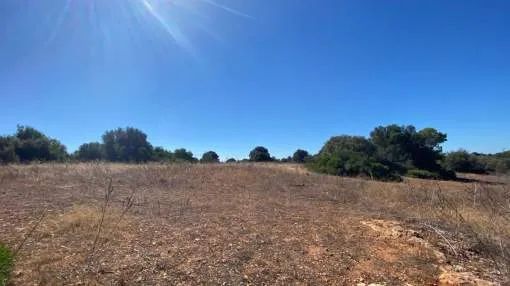 Flat building plot within walking distance to the port of Cala D'Or Flat building plot within walking distance to the port of Cala D'Or