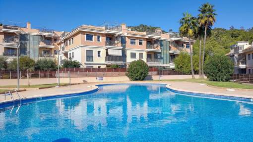 Sunny penthouse with spacious roof terrace close to Palma city centre Sunny penthouse with spacious roof terrace close to Palma city centre