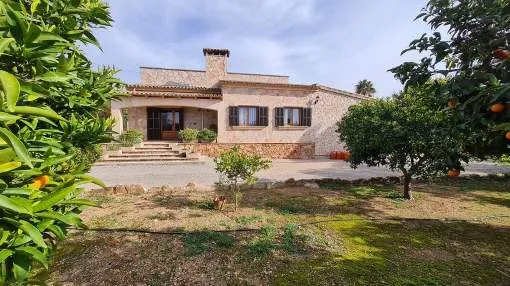 Quiet finca in the middle of an olive tree plantation in Campos