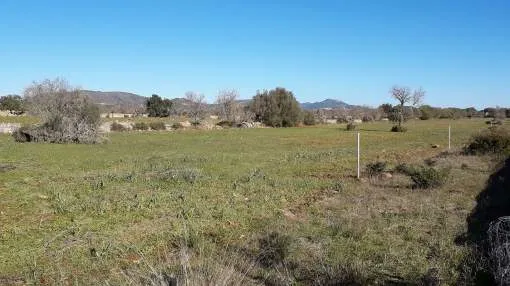 Rustic plot with basic project in the outskirts of Santanyi Rustic plot with basic project in the outskirts of Santanyi