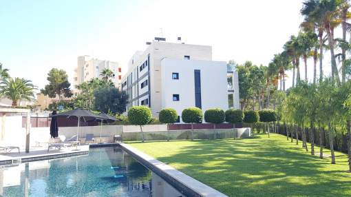 Fantastic bright penthouse with sea view in Portals. Fantastic bright penthouse with sea view in Portals.