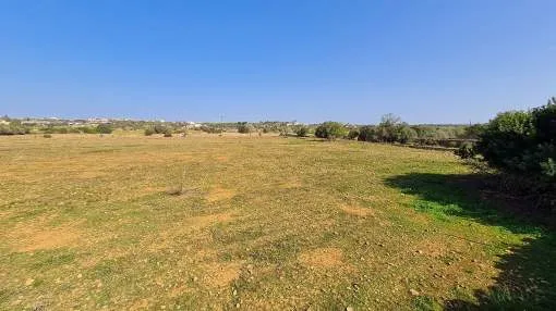 Building plot near Ses Salines