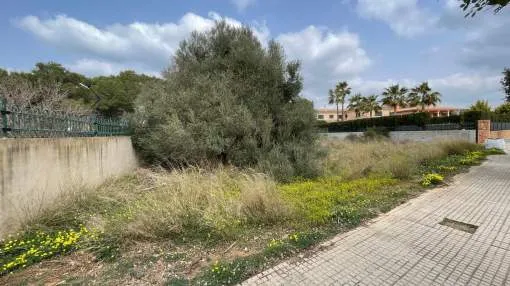 Fantastic plot with project and license in Puig de Ros Fantastic plot with project and license in Puig de Ros