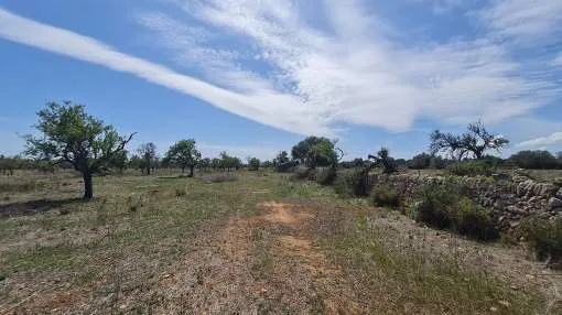 Plot with licence and project in Santanyi Plot with licence and project in Santanyi