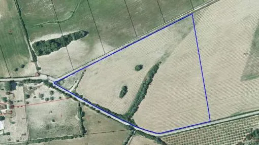 Rustic building plot between Manacor and Porto Cristo Rustic building plot between Manacor and Porto Cristo